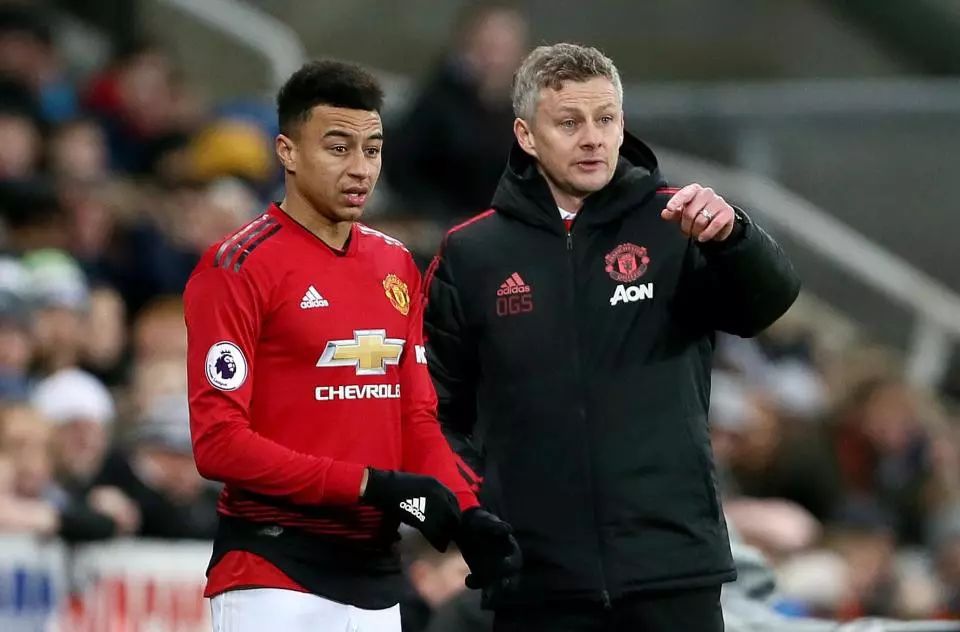 背景是辛纳 背景是辛纳