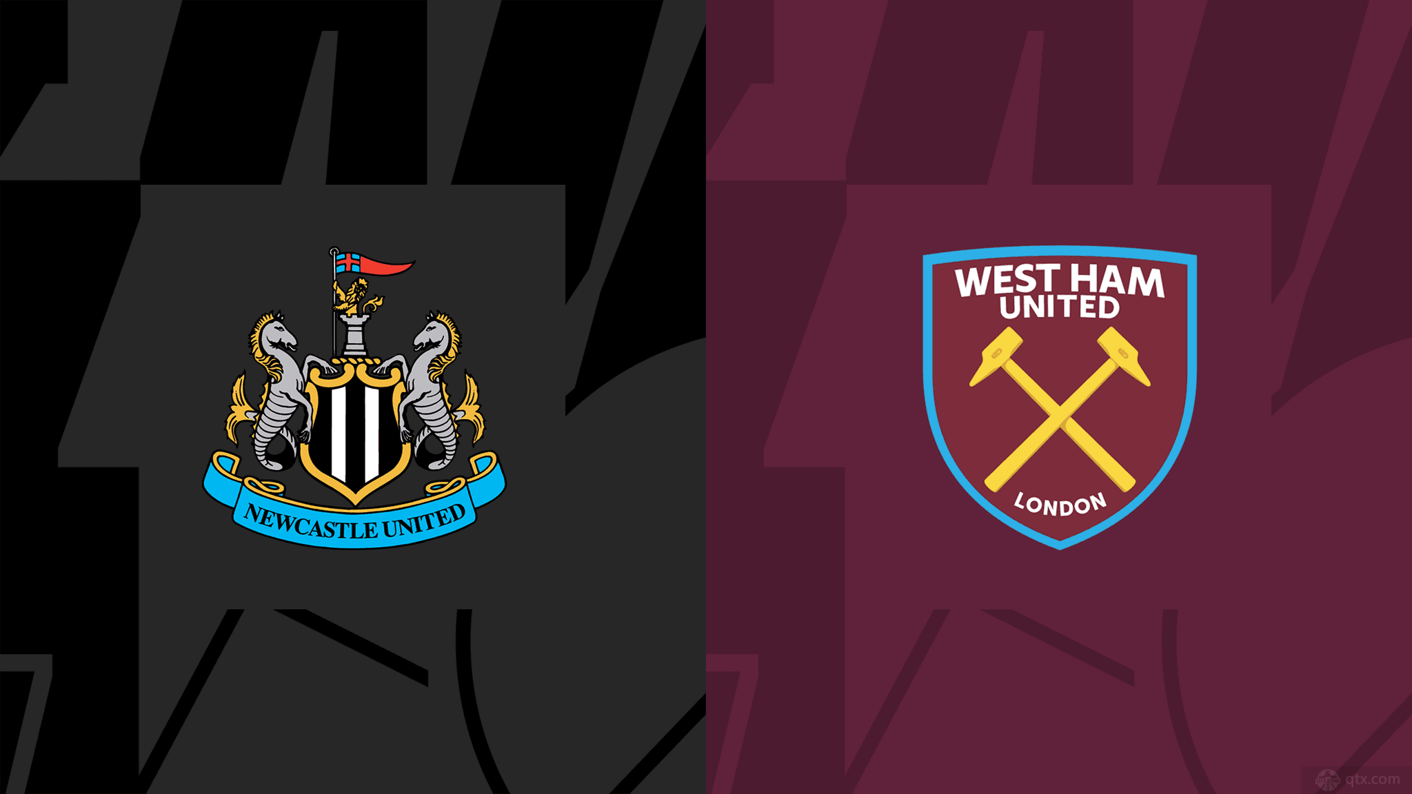 注的新生代 注的新生代